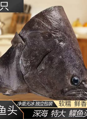舟山深海无冰衣特大鲽鱼头