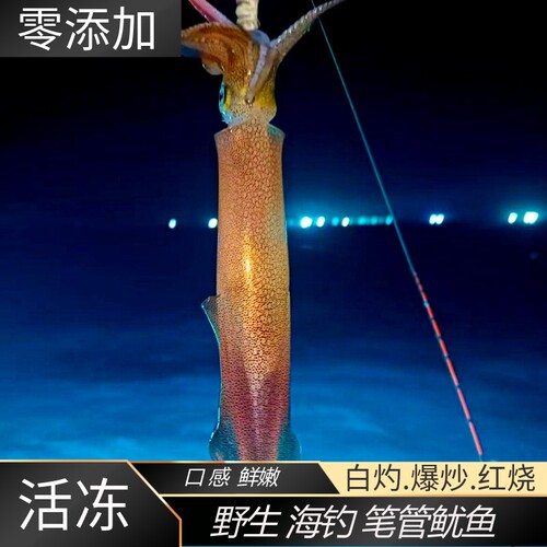 舟山海钓鱿鱼肉质Q弹爆款
