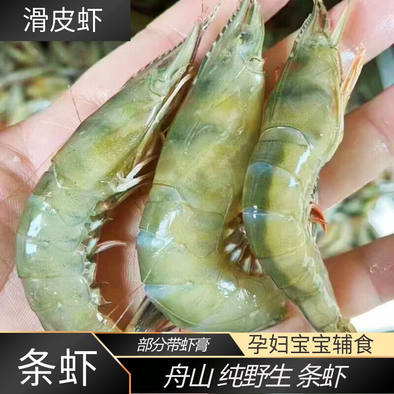 舟山野生滑皮虾新鲜条虾海捕剑虾大青壳虾纯天然虾可做宝宝辅食