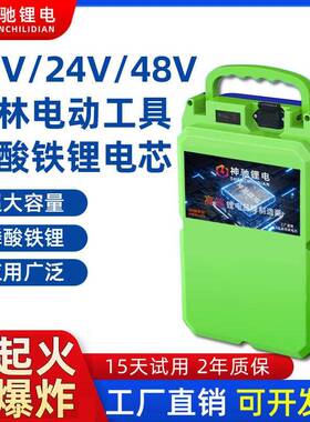 24V21伏48V36磷酸铁锂电动割草机锂电池大功率揹负式水泵园林专用