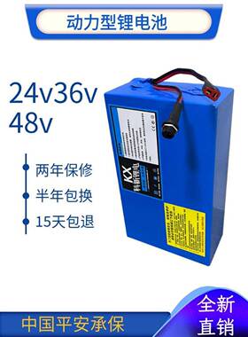 锂电池48v电动车通用改装备用挂包款36v24v20ah三元锂可定制尺寸