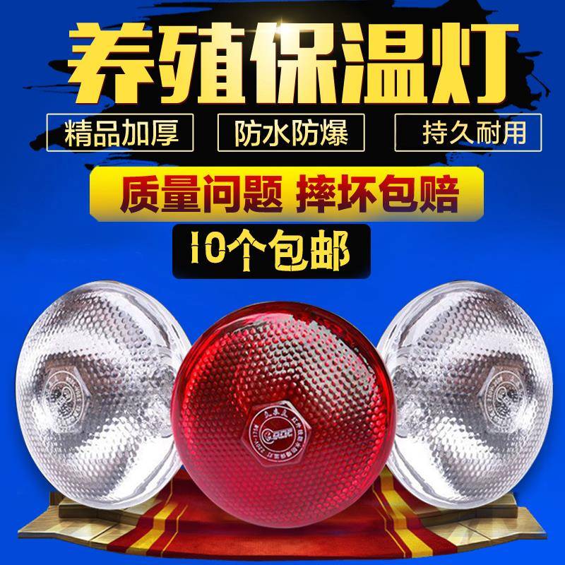 畜牧保温灯养殖场鸭兽猪专用小鸡育雏取暖灯泡罩节能加厚防水防爆