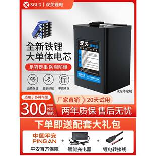 锂电池60V外卖专用电动两轮电瓶车宁德时代磷酸铁锂48伏72V电池