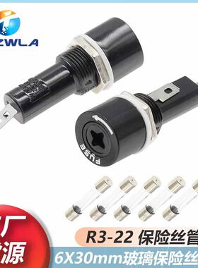R3-22保险丝座 10A250V玻璃保险管座十字型6x30保险盒FUE耐高温