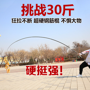 模兽巨无霸25H19调超硬v掏桥洞溜边飞鱼青鱼鲟鱼巨物黑坑鱼竿暴力