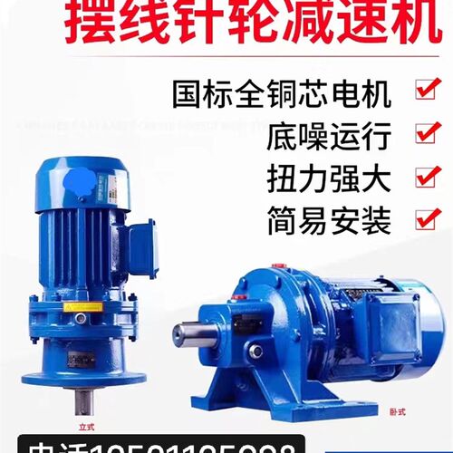 摆线针轮减速机小型卧式/立式减速器380KV电机一体变速箱国标铜芯