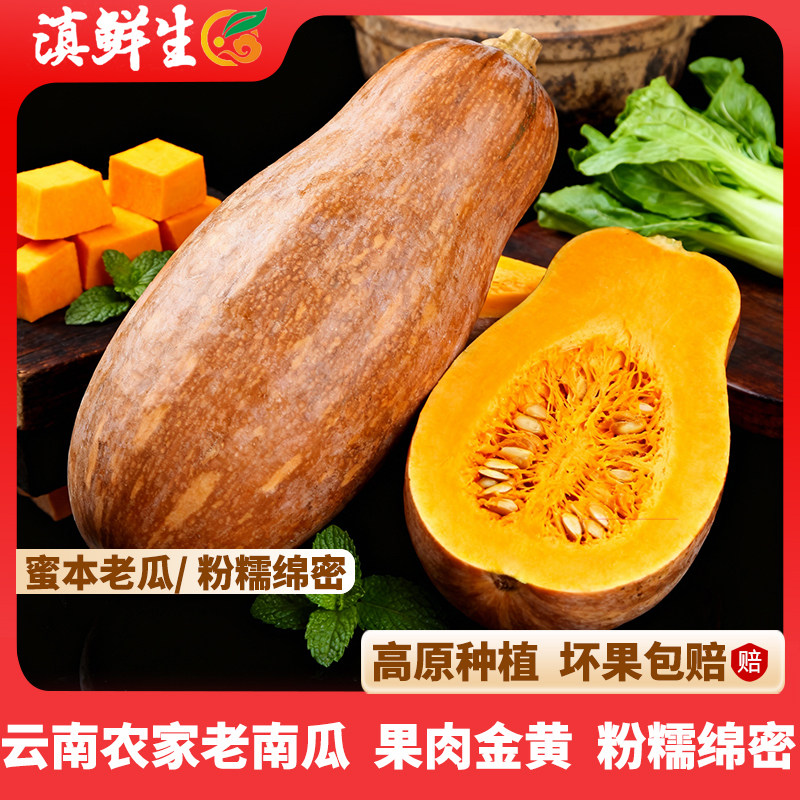滇鲜生云南食材高原甜软糯南瓜