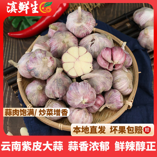 【滇鲜生】云南紫皮新鲜半干大蒜