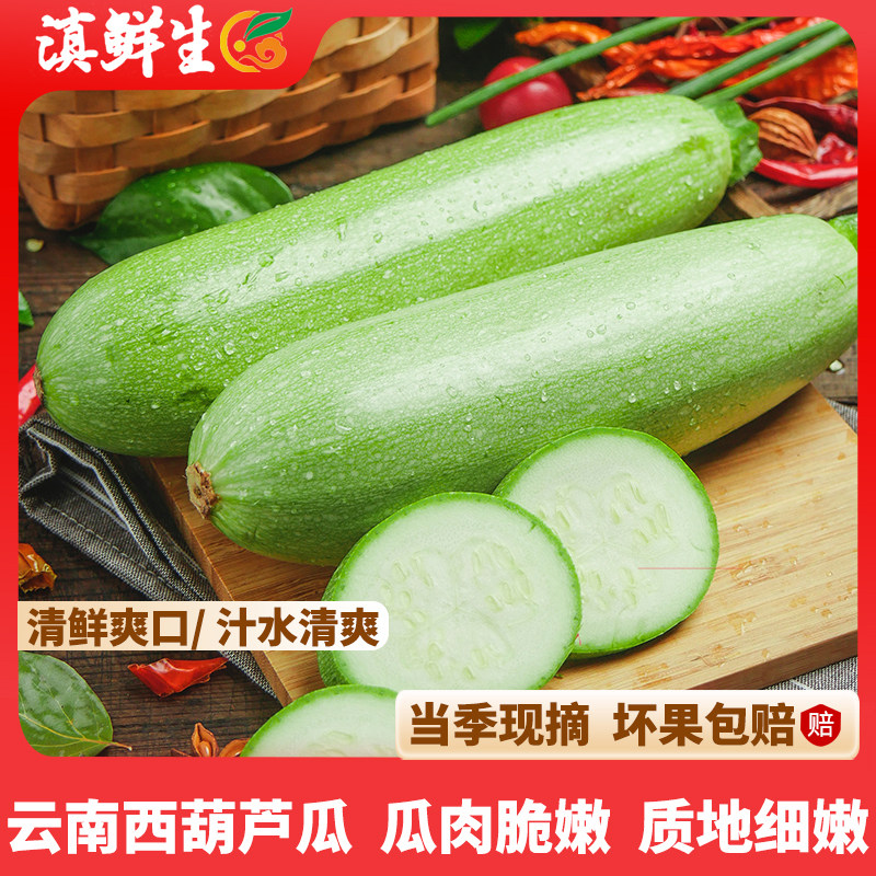 滇鲜生云南新鲜西葫芦瓜
