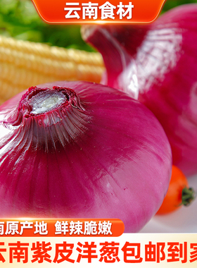 滇鲜生云南食材紫皮洋葱生吃圆葱厨房调味农家自种新鲜蔬菜