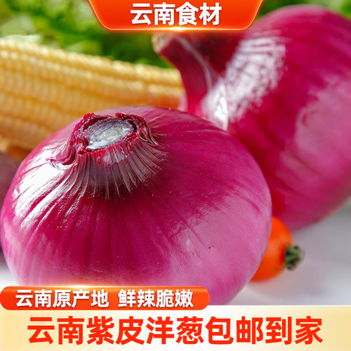 【滇鲜生】云南食材紫皮洋葱