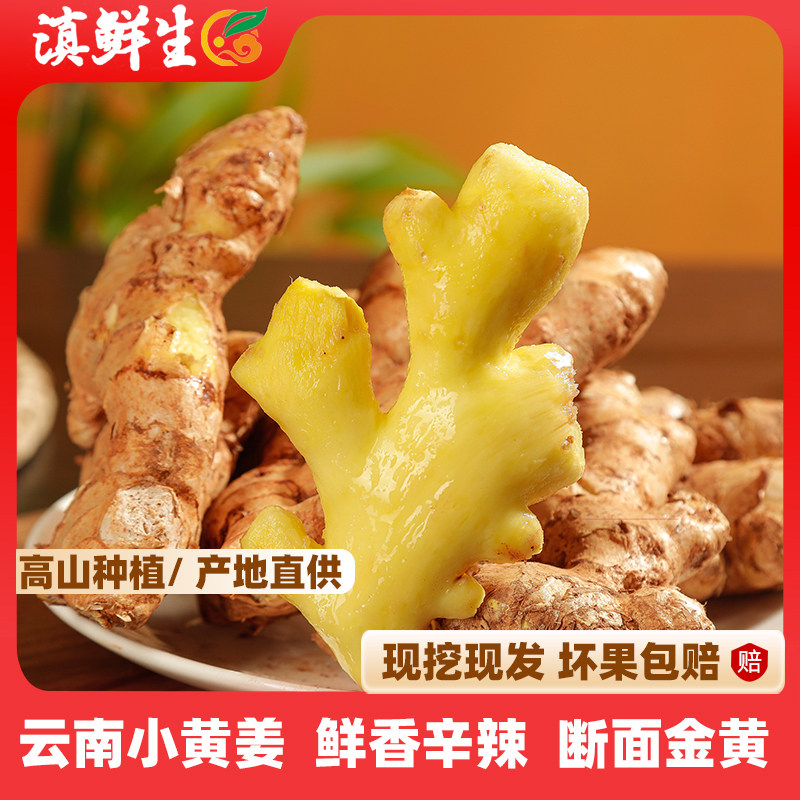 【滇鲜生】精选新鲜老姜图片