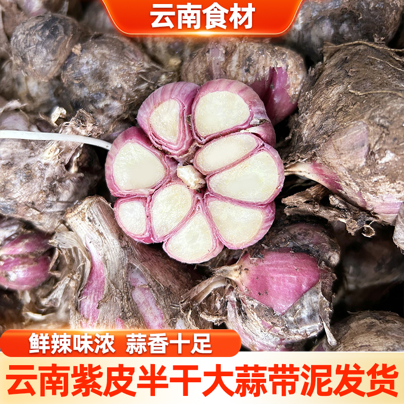 【滇鲜生】云南紫皮新鲜半干大蒜