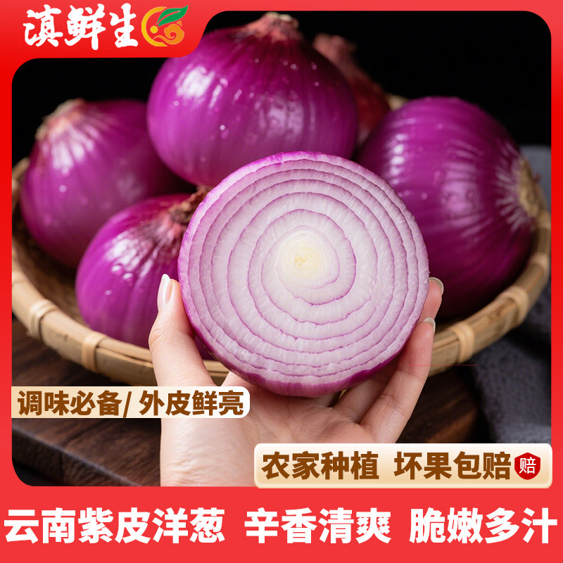 【滇鲜生】云南食材紫皮洋葱