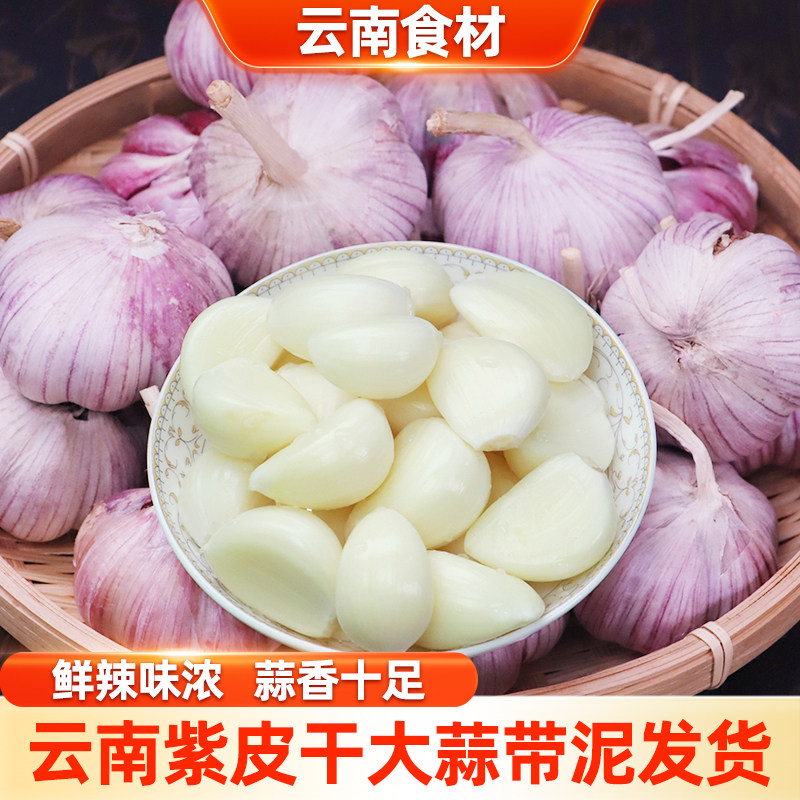 滇鲜生云南本地紫皮大蒜农家蒜干蒜多瓣蒜头26年新鲜蔬菜干大蒜