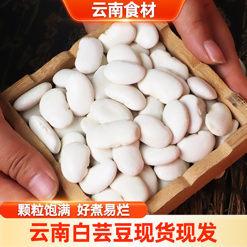 滇鲜生云南本地正宗白芸豆五谷杂粮白芸豆农家干货白芸豆