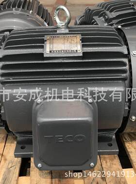 4P全新卧式15KWAEEFF3TEGH160L4电机20HP-380V