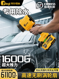 Германия Преступник промышленность буря машина высокая прочность Сдувать снег и пыль вентилятор портативный тип зарядки небольшой бесщеточный пневматический пистолет