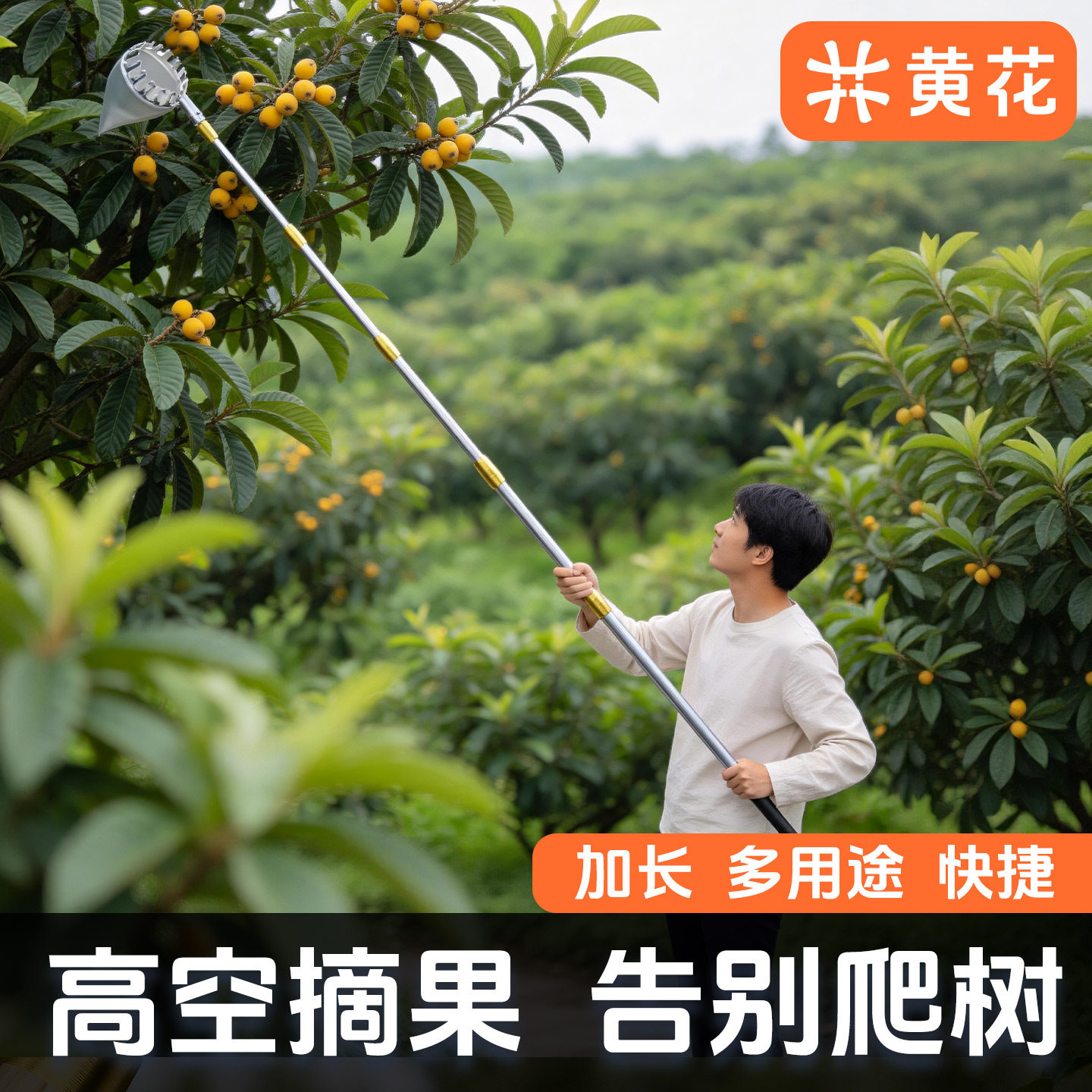 新款摘枇杷神器伸缩杆摘水果农具采摘柿子杨梅果子高空摘果器枣杏