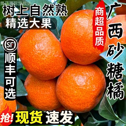 正宗金秋砂糖橘精品小桔子新鲜水果当季整箱包邮时令孕妇柑橘