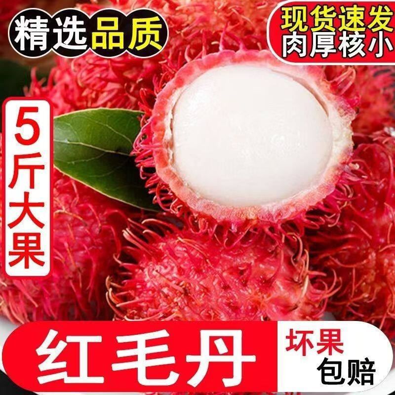 泰国品种红毛丹新鲜水果毛荔枝当季水果1-5斤批发红毛丹新鲜大果