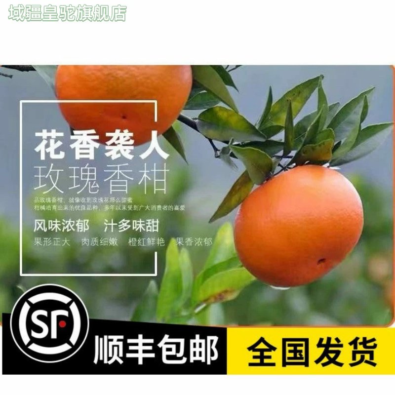 顺丰包邮现摘现发 玫瑰香柑橘甜沃柑时令新鲜水果橘子柑10斤柑橘,水产肉类/新鲜蔬果/熟食,桔子,淘宝优惠券,粉丝福利购,淘宝优惠卷