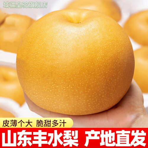 正宗山东青岛莱阳丰水梨新鲜水果当季现摘冰糖雪梨子蜜梨司道整箱