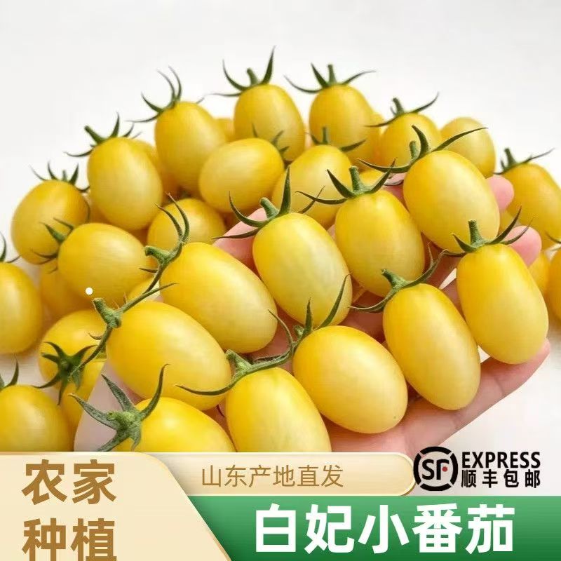 白妃小番茄农家水果柿子白玉圣女果酸甜圣女果新鲜即食水果顺丰