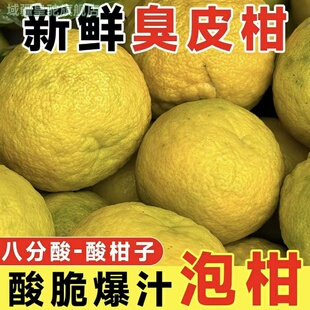 湖北酸泡柑新鲜水果酸柑子现摘现发臭皮柑水柚子