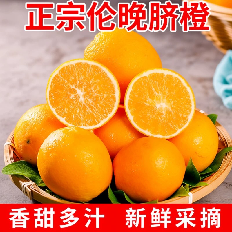 正宗湖北秭归伦晚脐橙橙子旗官方旗舰店新鲜水果甜现摘手剥春橙图片