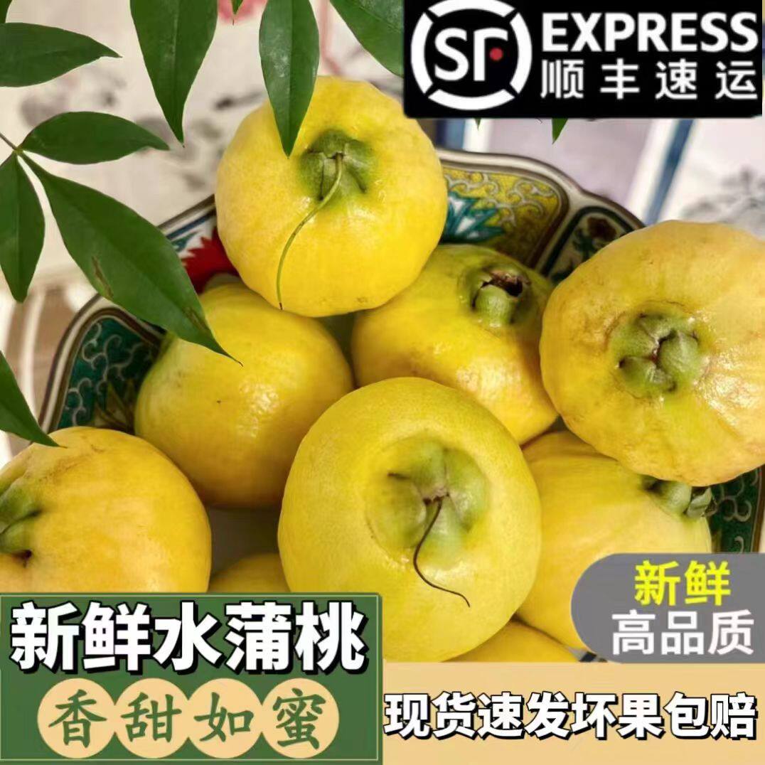 水蒲桃果新鲜叮当果水番桃香果铃铛果稀有孕妇可吃果广东特产顺丰
