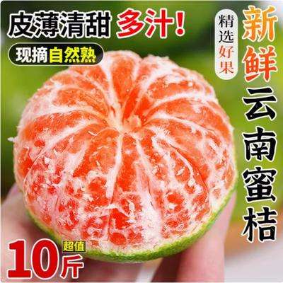 云南蜜桔早熟青皮橘子特酸玉溪