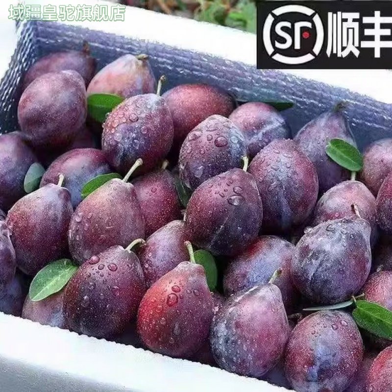 西梅新鲜水果香甜多汁当季水果应季李子新货速发整箱包邮