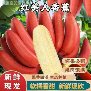 海南红美人应季红皮香蕉热带新鲜孕妇当季水果美人蕉批发顺丰包邮