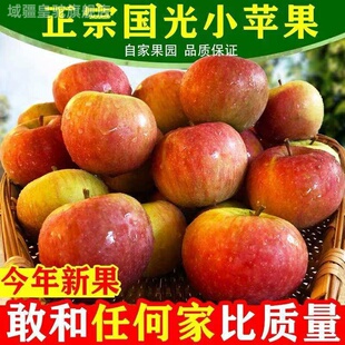 正宗小国光苹果酸甜新鲜小果光苹果烟台小国光东北8斤5