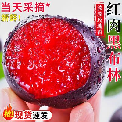 现货现发红肉玫瑰李血丝黑布林红心李子新鲜孕妇水果整箱非三华李