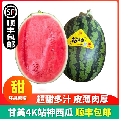 甘美4K站神西瓜脆甜多汁薄皮无籽大西瓜新鲜当季时令水果顺丰包邮