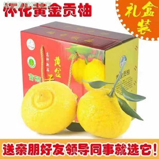 湖南怀化黄金贡柚春香桔柚象山青新鲜甜小柚子雪峰山大果礼盒