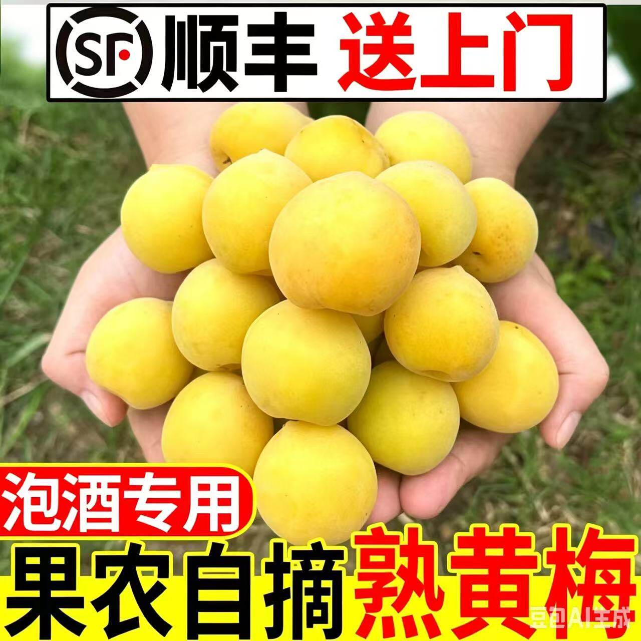 精选深山黄梅5斤新鲜现摘完熟青梅酸梅子泡酒梅子露云南黄梅野生