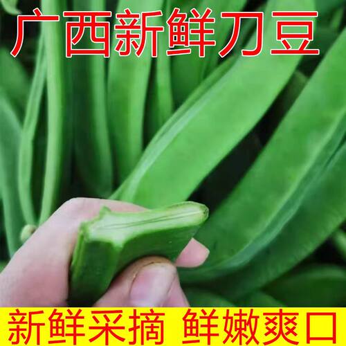 刀豆新鲜嫩刀芭豆广西现摘蔬菜扁豆大巴豆角当季整箱包邮大虫豆