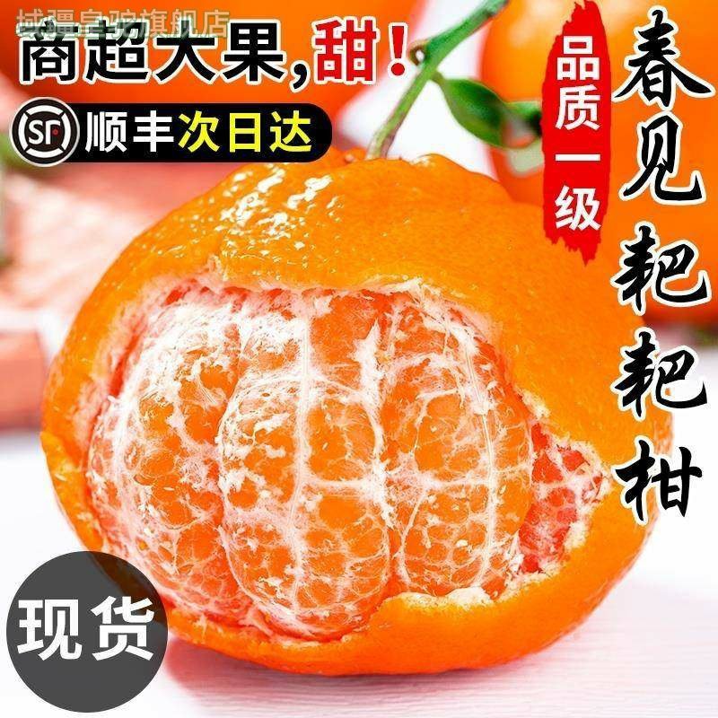 四川春见耙耙柑粑粑柑10斤橘子甜当季整箱新鲜水果丑柑桔包邮,水产肉类/新鲜蔬果/熟食,桔子,淘宝优惠券,粉丝福利购,淘宝优惠卷