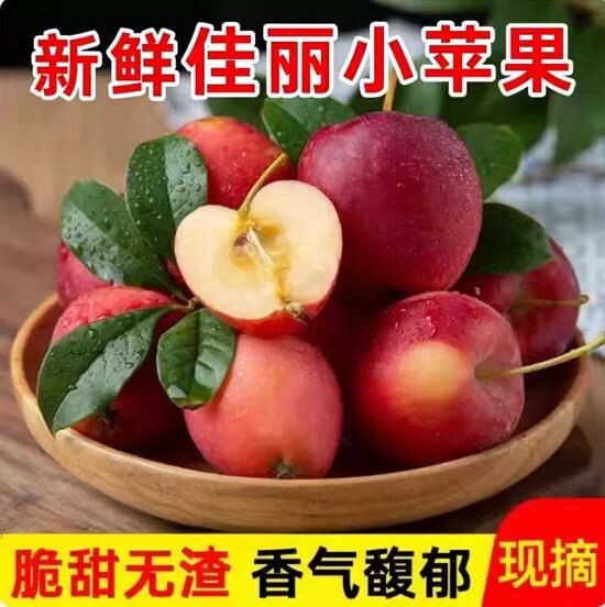 东北2026佳丽新苹果樱桃小苹果当季现摘现发酸甜特产小苹果图片