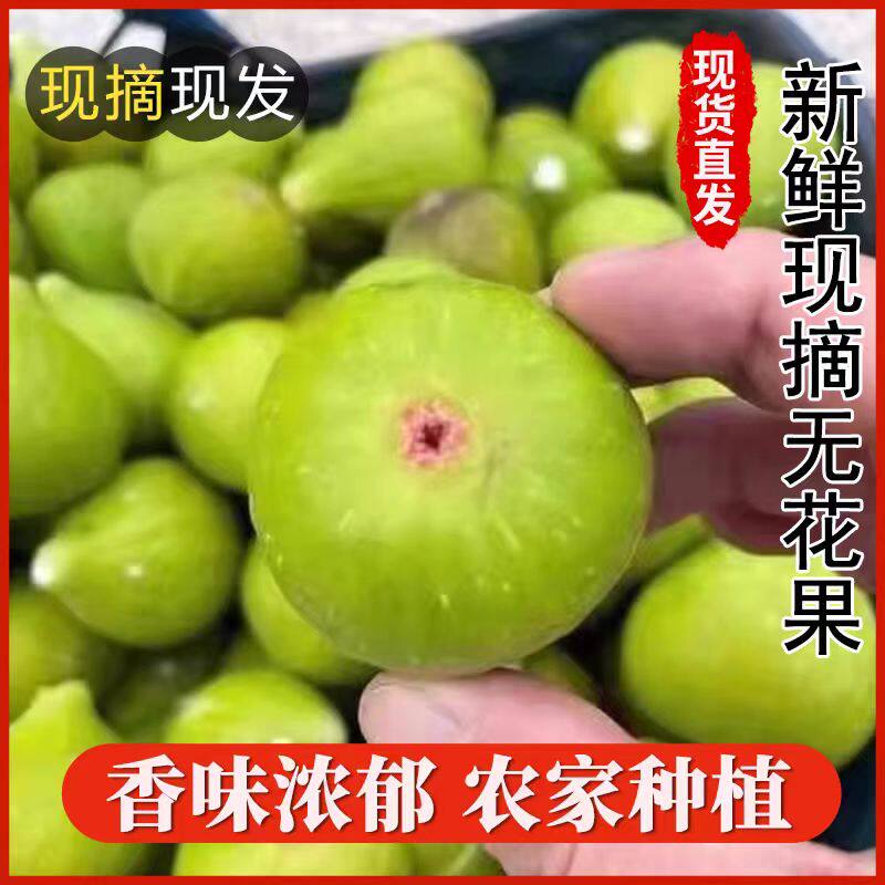 新鲜农家生无花果未熟现摘当季无花果水果青果青皮无花果炖汤泡茶