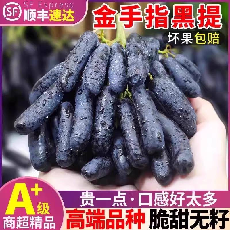 大理宾川金手指蓝宝石葡萄黑提子