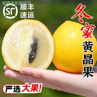 顺丰云南冬蜜黄晶果新鲜黄金果西双版纳黄金牛奶果雅美果孕妇水果
