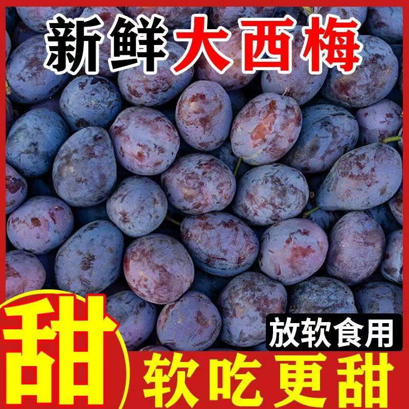 现摘大西梅整箱现货水果批发正宗蓝蜜甜西梅应季女神李子一箱
