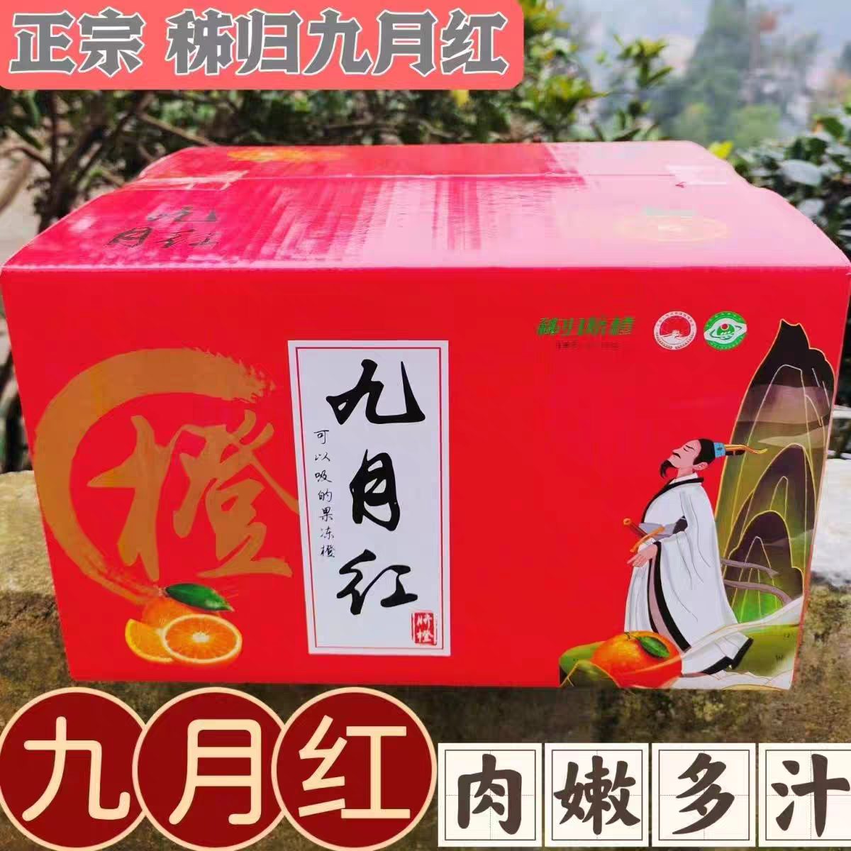 湖北秭归九月红橙果冻橙子当季新鲜水果孕妇手剥甜橙柑橘正宗脐橙