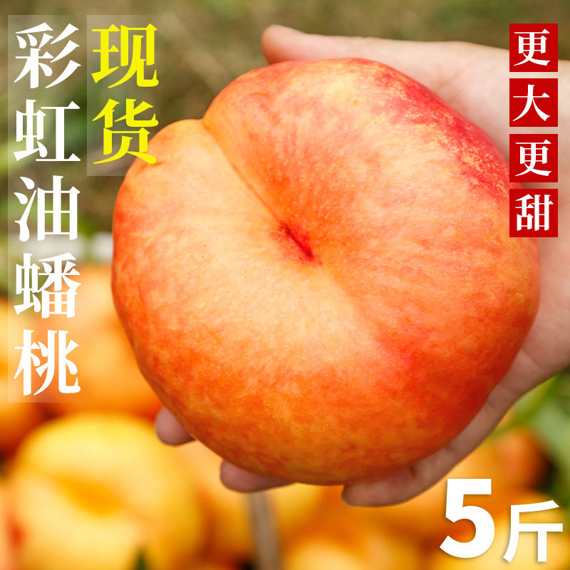 彩虹油蟠桃5斤桃子新鲜水果黄金奶油当季扁甜蜜潘桃整箱包邮