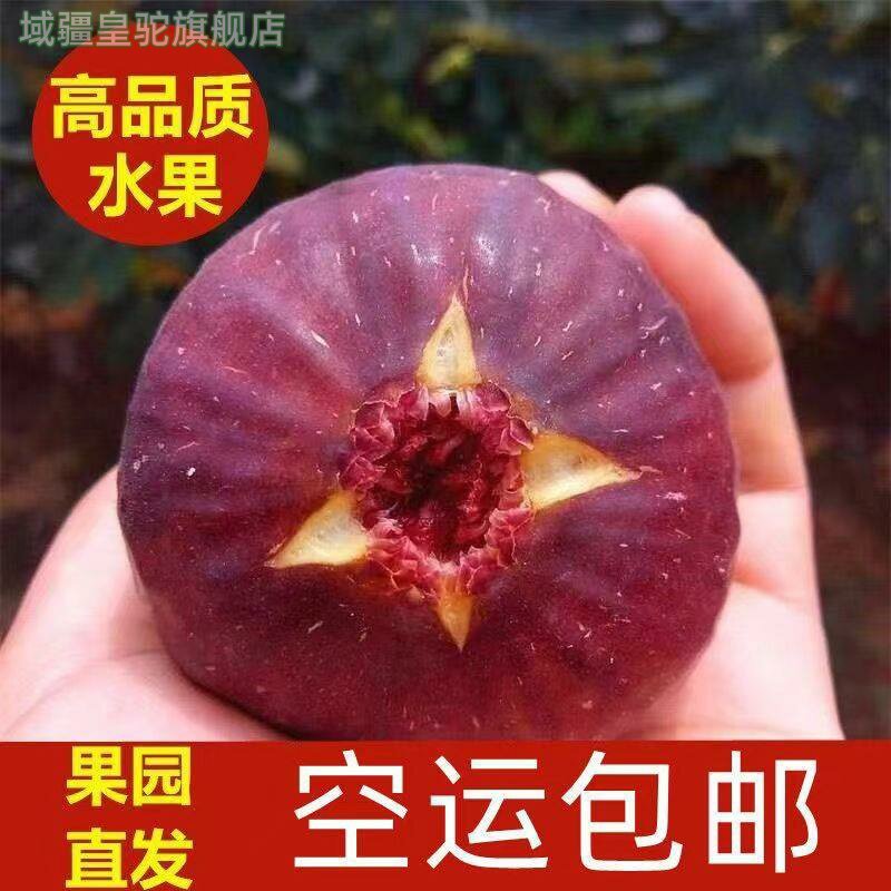 顺丰包邮红皮无花果5斤新鲜大果当季孕妇应季紫皮水果整箱