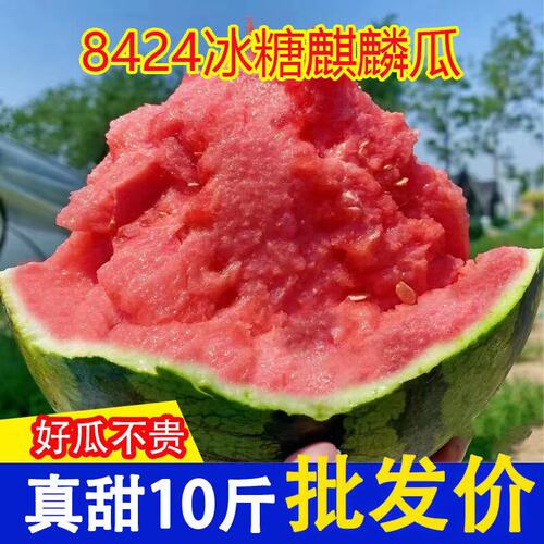 正宗高山麒麟西瓜沙瓤瓜手剥西瓜